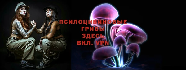 гашик Волосово