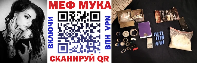МЕФ мяу мяу Динская