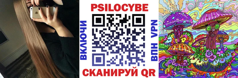 Галлюциногенные грибы Psilocybe  дарнет шоп  Динская 